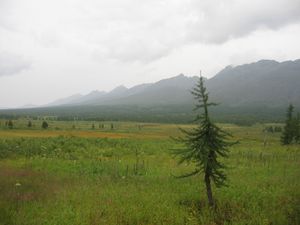 페초라 외곽의 사블랴 보호구역 전경