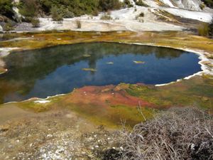 오라케이 코라코의 레인보우 테라스.