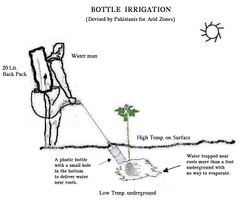 점적 관개의 원형. 뿌리 근처에 설치된 튜브에 물을 흘려 뿌리 주위만 관개한다.