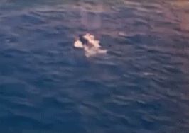 미 해군 Vought F4U Corsair가 제2차 세계 대전 중 일본 제국 해군 수송선을 기총 소사하는 모습.