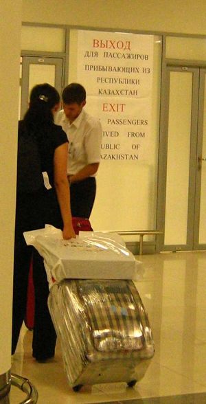 셰레메티예보 국제공항, 러시아 모스크바. 카자흐스탄에서 온 승객은 더 이상 세관 검사를 받지 않는다.