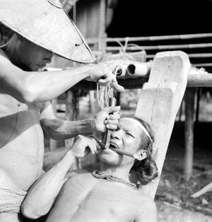 치아 갈기는 1938년경 네덜란드령 동인도 멘타와이 제도의 멘타와이 남성에게 행해졌다.