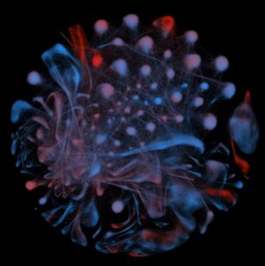 유사성으로 분류된 약 10만 개의 붉은털 원숭이 세포. 빨간색 세포는 원숭이 면역 결핍 바이러스에 감염된 원숭이의 세포이고, 파란색 세포는 감염되지 않은 원숭이의 세포이다.