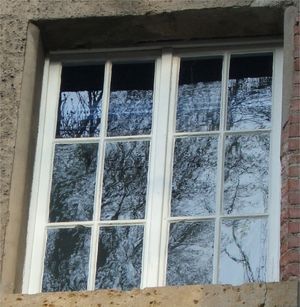 독일 예나에 있는 오래된 창문. 좌상단이 플로트 유리이다. 나무의 비선명함으로 보아 다른 유리는 플로트 유리가 아닌 것으로 보인다.