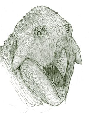 렙토케라톱스과의 생물 복원도