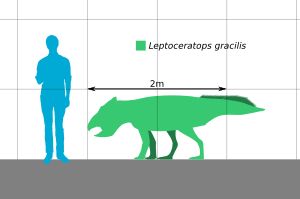 렙토케라톱스의 크기