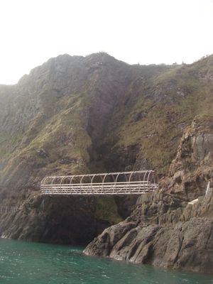 더 고빈스 근처에서 발견된 뼈 조각. 한때 스켈리도사우루스로 여겨졌으나, 현재는 불확실한 공룡 유해로 재식별되었다. 아일랜드에서 발견된 초기 공룡 화석 중 하나이다.