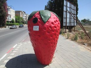 도시 곳곳에 설치된 딸기 모양의 재활용 쓰레기통. 과거 농업 중심지였던 역사를 보여준다.