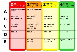 색상 코딩된 트리아지를 정의하는 활력 징후. RR: 호흡수; SpO2: 말초 산소 포화도 (맥박 산소 측정); HR: 심박수; GCS: 글래스고우 혼수 점수; Tp: 체온.