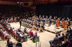 Vita Activa Orchestra