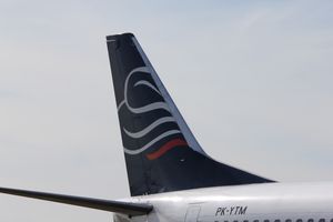 바타비아 항공 꼬리 날개