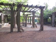 라 클라페(박물관)에서 라 로키유(해변)까지의 보행자 차선, 꽃나무 "샤르미유 토니 가르니에" 스타일의 콘크리트 터널 지지대, (1970년대)