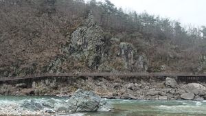 봉화군 명호면 고계리 낙동강변에 드러난 가송동층/청량산층