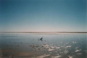 Kati Thanda–Lake Eyre South