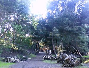 1935년 로스 가문이 기증한 시립 숲