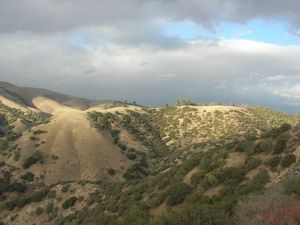 캘리포니아 남부 시에라 펠로나 산맥의 관목지