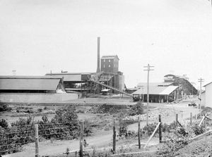 1939년 빌리톤 섬의 NV 빌리톤 마트샤피 회사의 공장 일부.