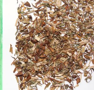 약초 제제인 herba hyperici로 사용되는 건조된 Hypericum perforatum