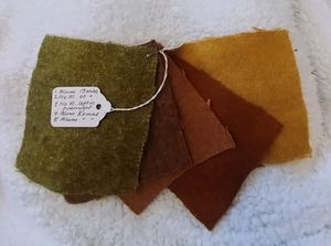 서양고추나물을 사용하여 염색한 양모 견본—(왼쪽부터): 명반으로 매염하고 15분 동안 끓임; 매염하지 않고 한 시간 동안 끓임; 염색 욕조에 밤새 담가둠; 30분 동안 다시 끓임; 다시 30분 동안 끓임.