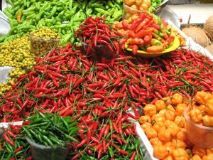 아라카주의 고추