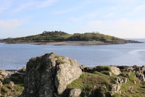 덤프리스 앤 갤러웨이 해안에서 떨어진 섬인 아드월 섬(Ardwall Isle)