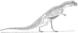 폰 후네가 1923년에 그린 스트렙토스폰딜루스 쿠비에리의 복원도, 실제로는 에우스트렙토스폰딜루스를 묘사하고 있다.