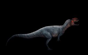 메트리아칸토사우루스과