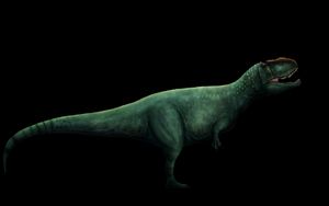 Yangchuanosaurus