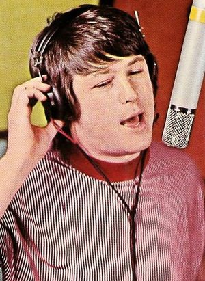 브라이언 윌슨의 목소리는 Pet Sounds에서 가장 두드러진다.