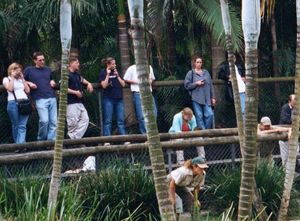 1997년 오스트레일리아 동물원에서 관람객들 앞에 서 있는 어윈