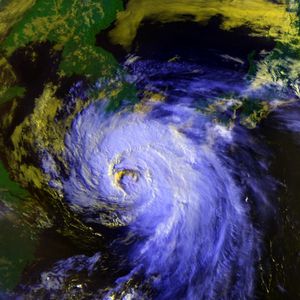 최성기의 태풍 페이.