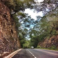 나무 터널 (쳇 사오 노이 폭포 근처 고속도로 2089번)