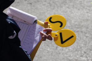 심판원의 손에 들린 옐로우 패들