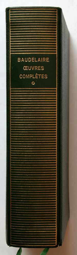 금색 글씨가 있는 책등