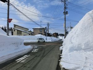 국도 17호 우시가시마 교차로.