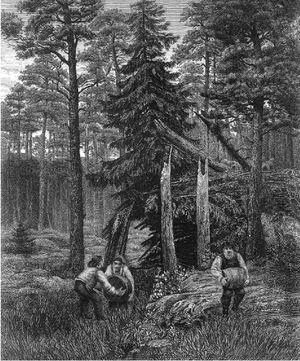 Berndt Lindholm의 작품, 19세기 로비사 군도의 한 장면, 밀주 제조