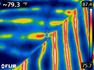 담요 아래에서 2분 후 열화상 카메라로 촬영한 영역의 발열