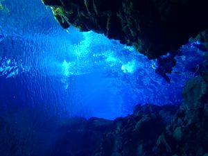 스쿠버 다이버가 실프라에서 다이빙하고 있다.