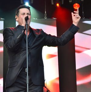 2014년의 토니 해들리