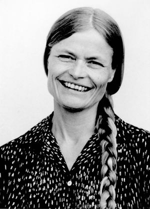 2013년 드루데 베른첸