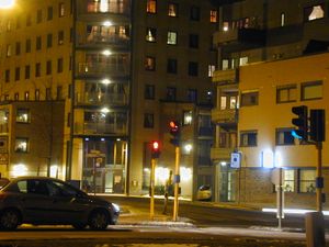 사릅스보르그 시내 (로알 아문센 거리)