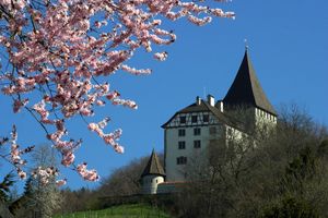 사유지가 된 바인펠덴성