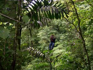 산라몬의 산 로렌조에서 열대 우림을 가로지르는 집라인