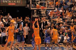 2010년 미네소타 팀버울브스전에서 슛을 시도하는 파머