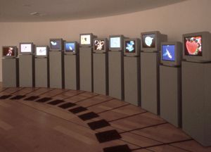 칼 심스의 갈라파고스 설치 작품은 방문객들이 3D 애니메이션 형태를 진화시킬 수 있도록 했다