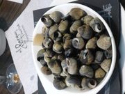 삶은 유럽총알고둥(스페인 산탄데르의 레스토랑).