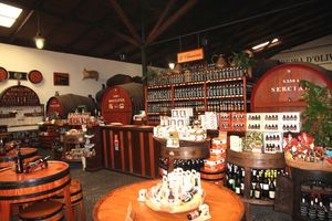 푼샬의 페레이라 D'올리베이라스