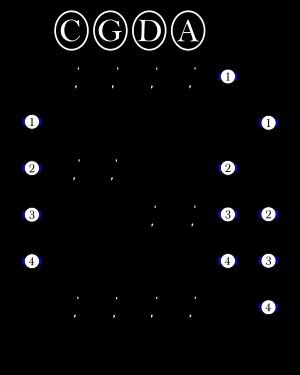 첼로 제1 포지션 운지법