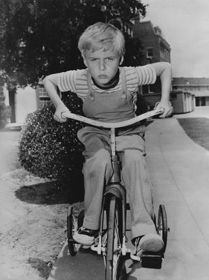 1959년 제이 노스, 데니스 미첼 역