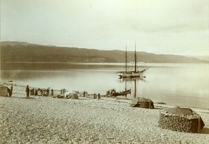 1907년 노르웨이 알타에서 소금에 절여 건조되는 대구 더미